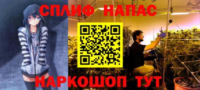 ГАЛЛЮЦИНОГЕННЫЕ ГРИБЫ Бийск