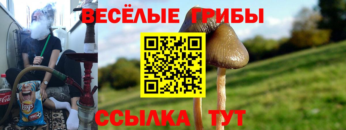 Псилоцибиновые грибы мицелий  Вход с VPN  Дзержинский 